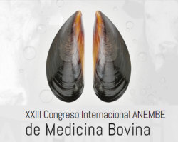 XXXIII CONGRESO INTERNACIONAL ANEMBE DE MEDICINA BOVINA. Vigo, 6-8 junio, 2018