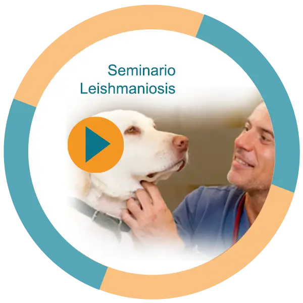 Seminario
